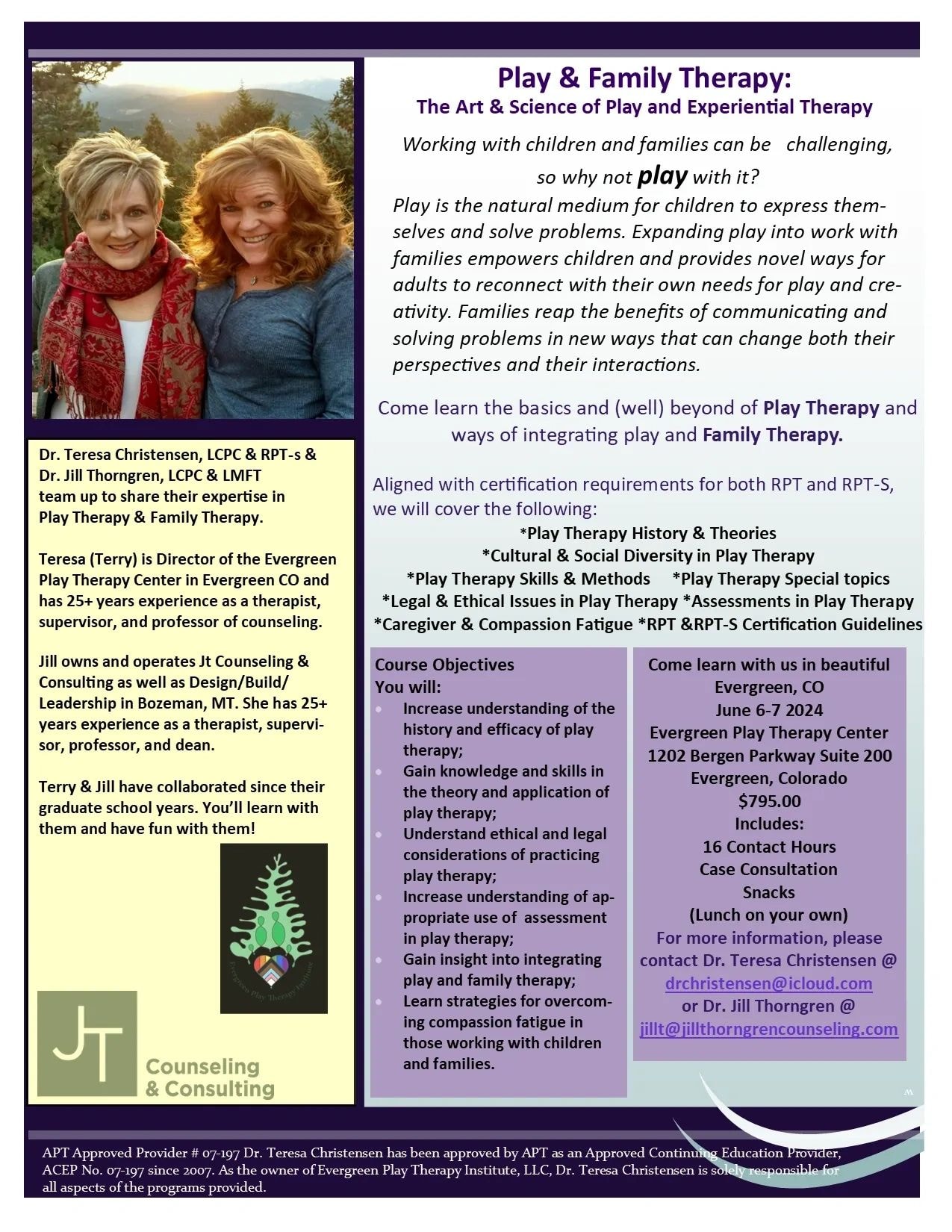 Play and Family Therapy Training flyer